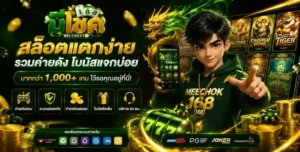 meechok168 แตกง่าย